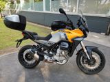 Moto Guzzi Stelvio 1000| 1. Hand| Reifen NEU| Heizgriffe - Offers matching your search criteria