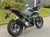 Kawasaki Z 125 *Wie NEU*TÜV 03/27*Checkheft gepflegt* - KAWASAKI 125