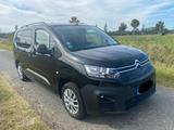 Citroën Berlingo Kombi XL PureTech Camperausbau - Benzin Kastenwagen