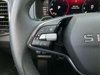 Skoda Karoq - Vorschau Bild 29