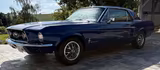 Ford Mustang 1967 302cui HU neu Scheibenbremsen Klima - gebrauchte Ford Mustang aus dem Jahr 1967