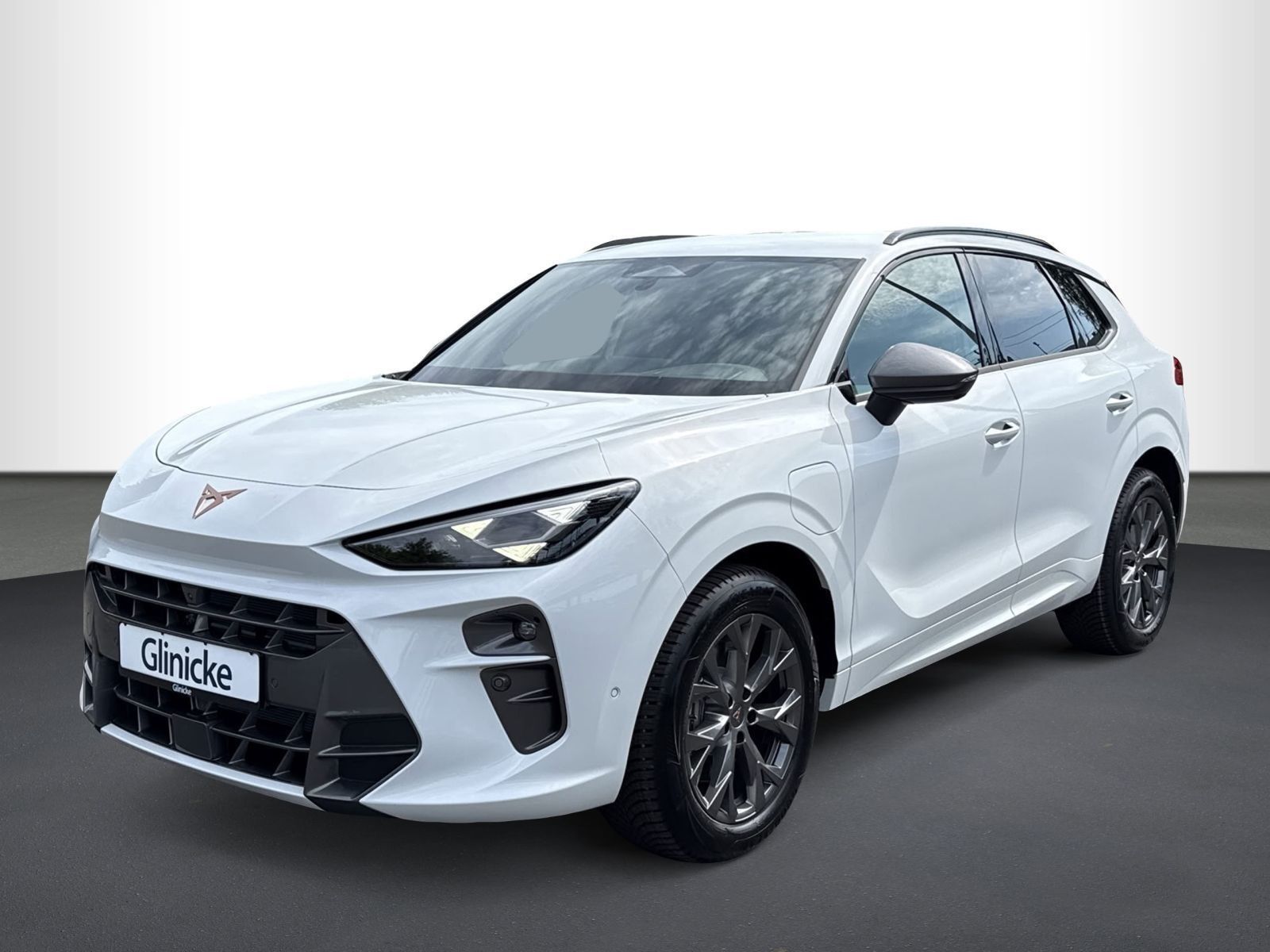 Cupra Terramar 1.5 e-Hybrid DSG, AHK, HEAD-UP imagem 2