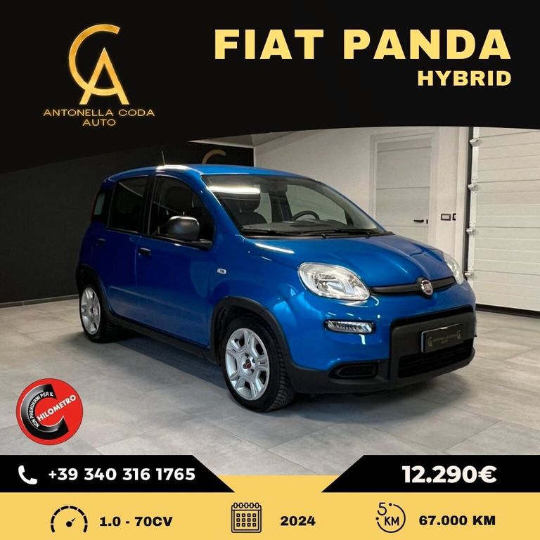 Image of Fiat Panda