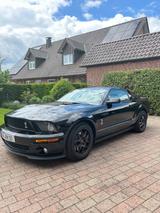 Ford Mustang Shelby GT 500 - gebrauchte Ford Mustang aus dem Jahr 2009