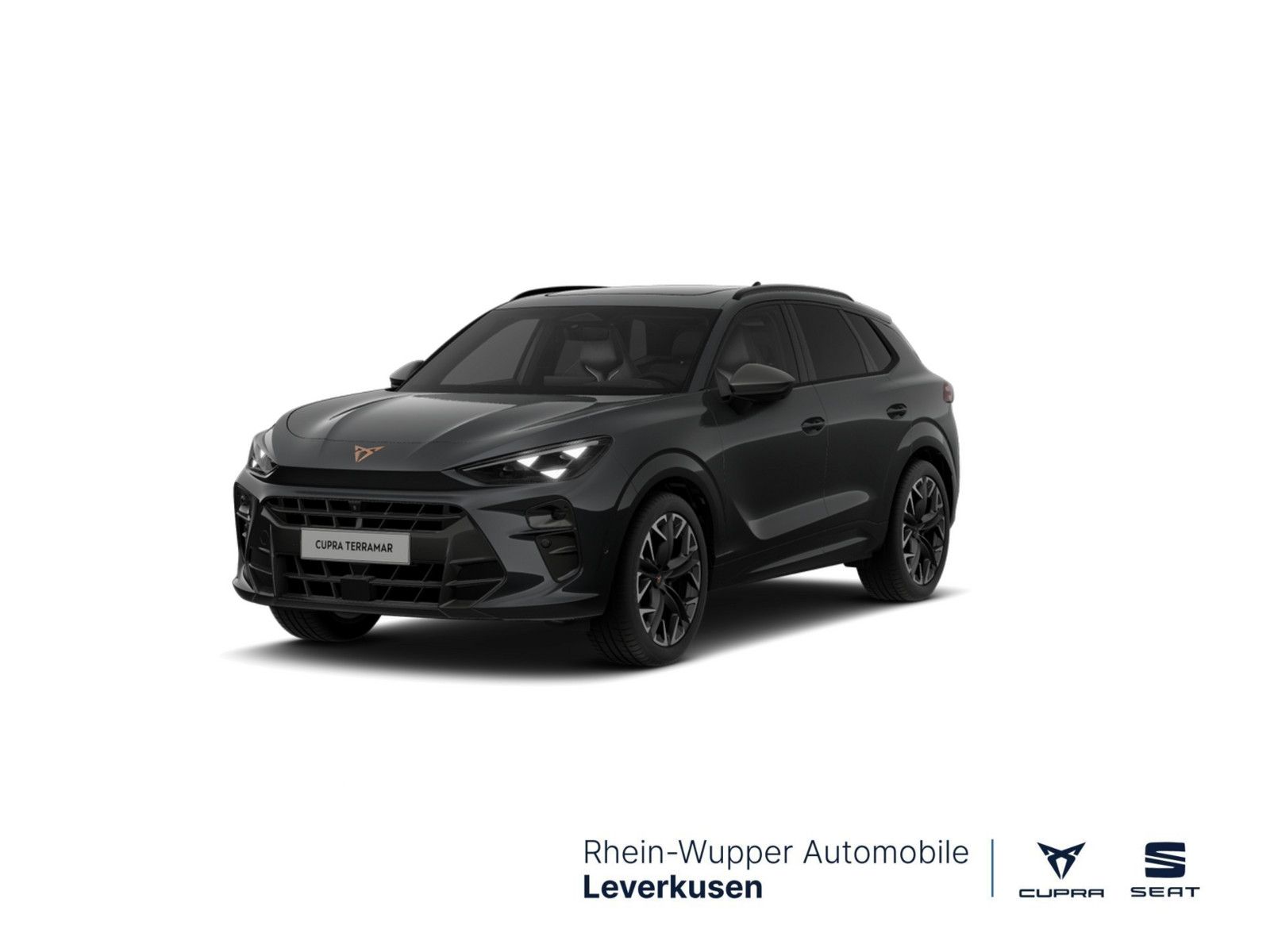 Cupra Terramar - Bild 1