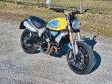 Ducati Scrambler 1100 - DUCATI GELB