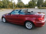 BMW Auto BMW 1er Cabrio - BMW: Cabrio, 1er