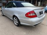 Mercedes-Benz CLK 500 CLK Cabrio CLK 500 AMG - Mercedes-Benz CLK 500 Gebrauchtwagen