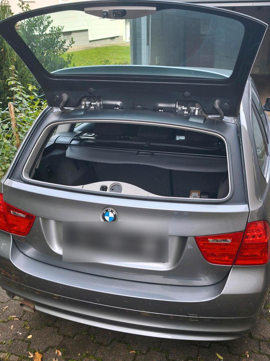 BMW  2010 — rear view