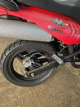 Andere Regal Raptor SPT 12   Führerschein-Klasse A1 - RAPTOR