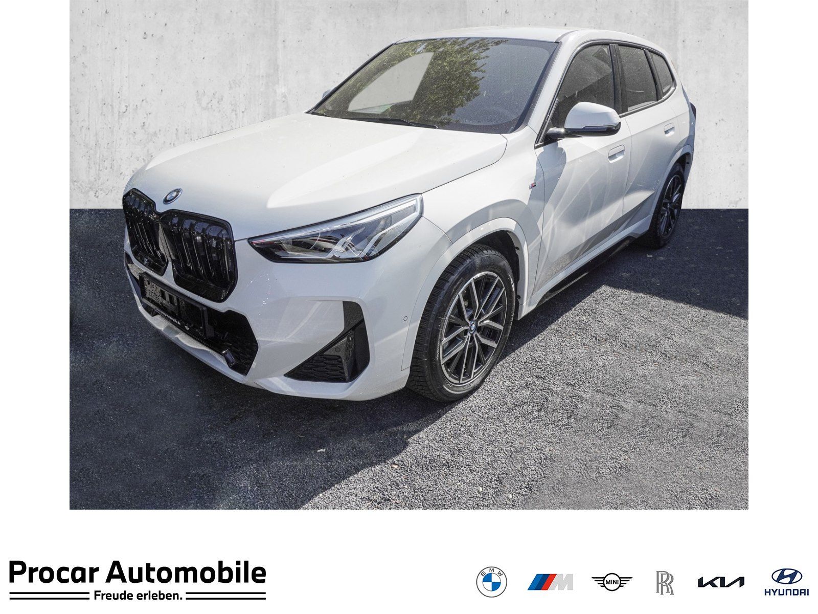 BMW iX1 xDrive30 M Sport RFK NAVI LED Sound Syst.