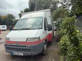 Fiat Verkaufswagen  Fiat Ducato,  Fleischerei - Fiat Ducato: Verkaufswagen