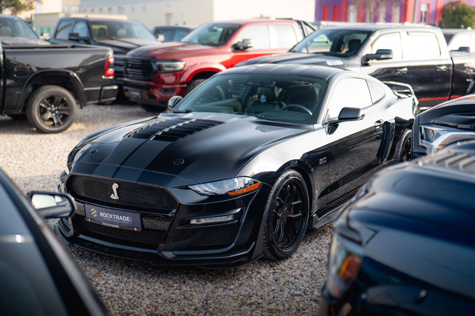 Fahrzeugabbildung Ford Mustang Shelby GT 500 5.0 V8 Performance PREMIUM