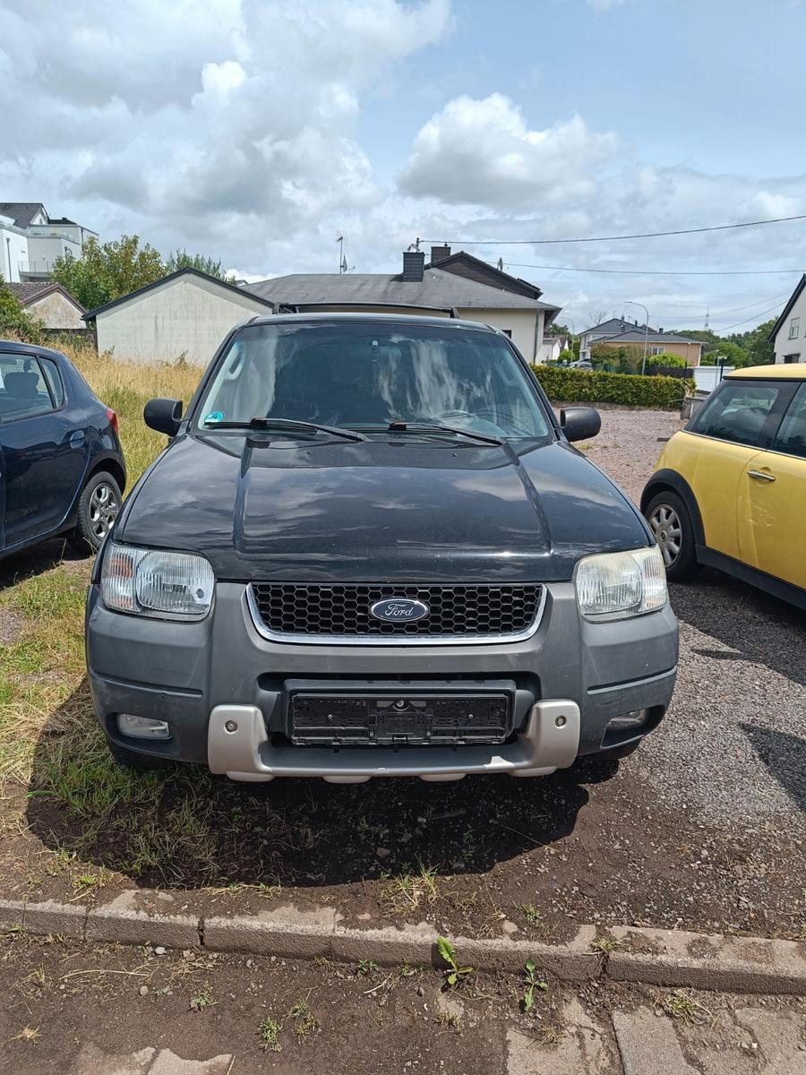 Ford Escape, Maverick