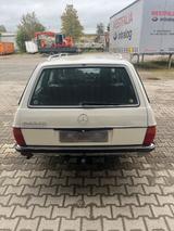 Mercedes-Benz Mercedes W123 T Kombi 240td Oldtimer Leder... - Mercedes-Benz 240 mit Diesel-Antrieb: Kombi