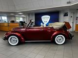 Volkswagen Käfer 1303 Champagne Cabriolet - Volkswagen Käfer Gebrauchtwagen