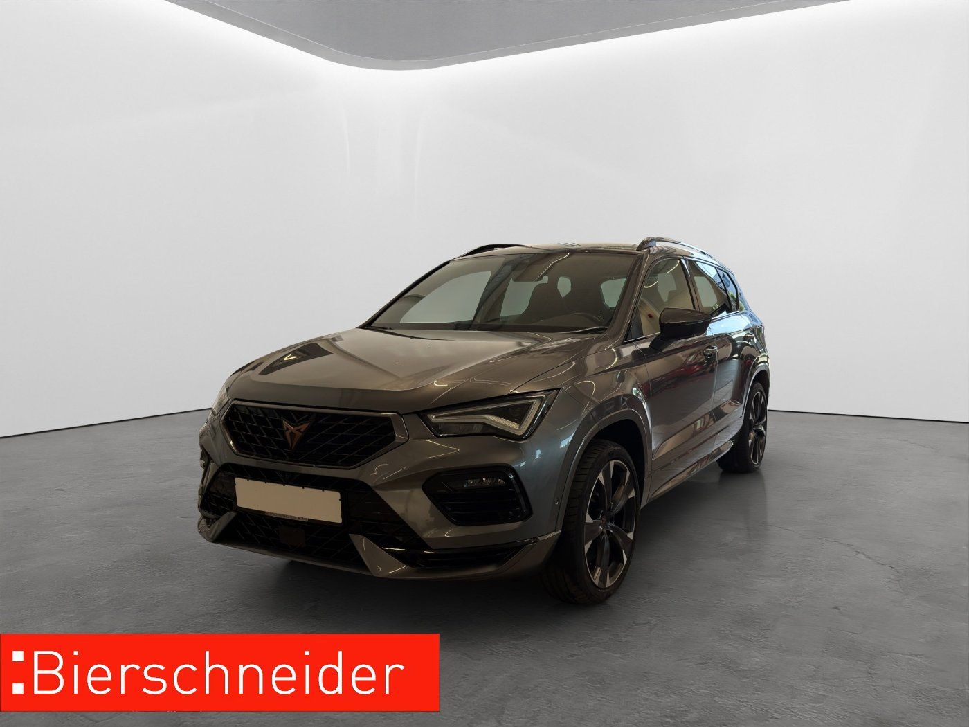 CUPRA Ateca 2.0 TSI DSG 4Drive VZ BEATS Fahrass. XL