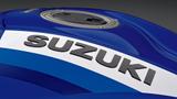Suzuki GSX 1300 R  Hayabusa Spezial Edition - SUZUKI GSX 1300 HAYABUSA
