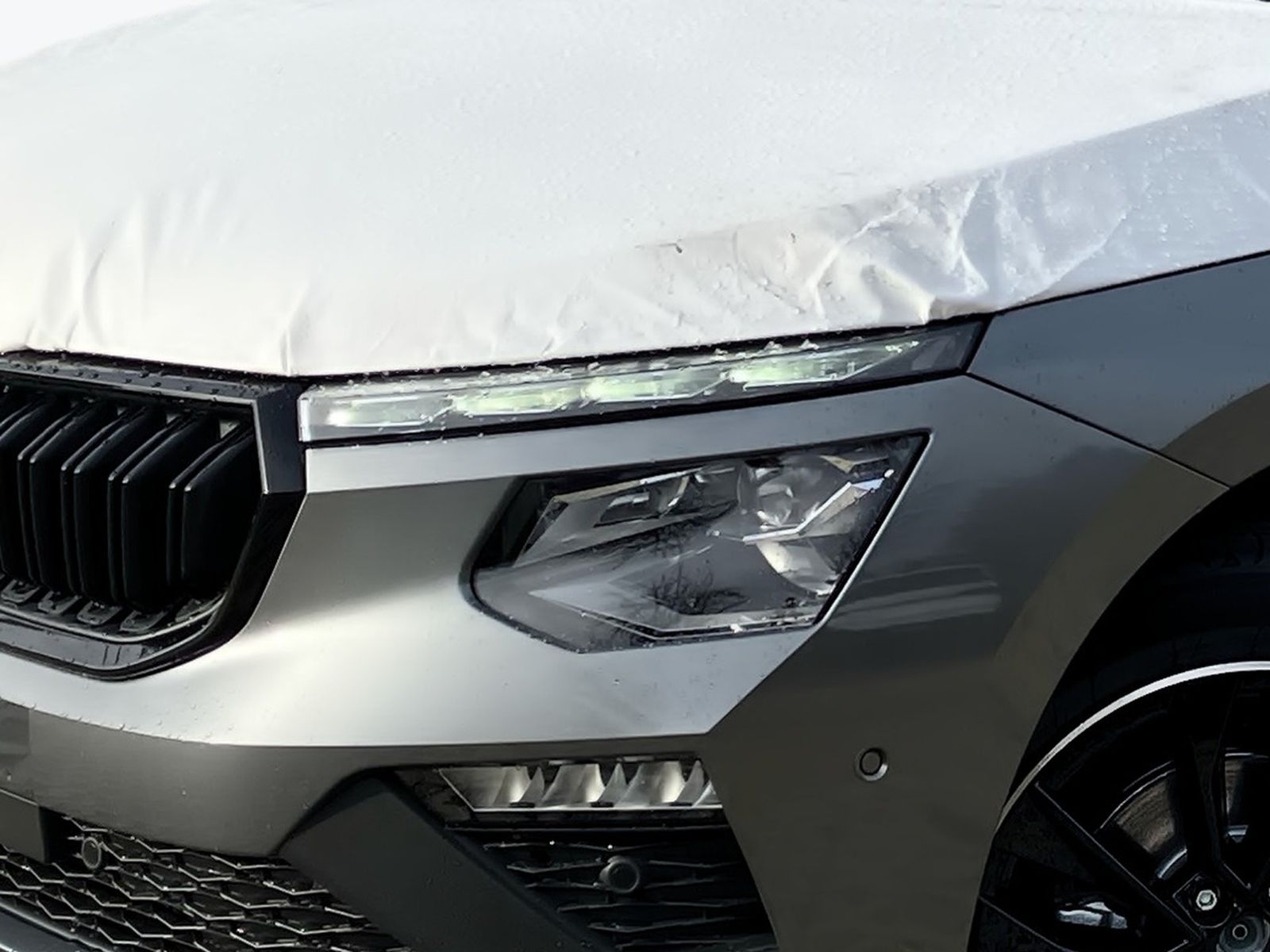 Skoda Kamiq - Bild 6