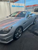 Mercedes-Benz Mercedes slkAMG packet 250 208 PS - Mercedes-Benz 250: Cabrio