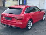 Audi A4 Avant design KAMERA/EUR6/NAVI/XENON - Audi A4: Kombi, Design