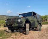 Mercedes-Benz G- Klasse Wolf