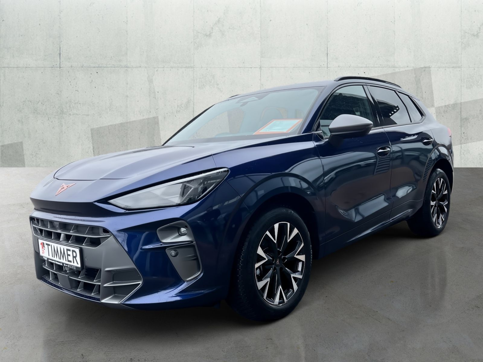 Cupra Terramar - Bild 2