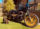 Harley-Davidson Sporster 883 N Custom Café Racer - HARLEY-DAVIDSON NAKED BIKE