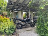 Ducati Monster  - Angebote entsprechen deinen Suchkriterien
