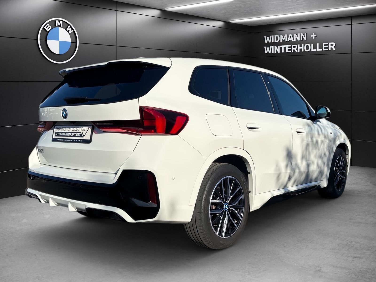 BMW iX1 xDrive30 M Sport Navi LC Plus DAB PA RFK foto 5
