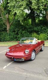 Alfa Romeo Spider, Rostfrei, Top Zustand