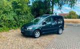 Volkswagen Caddy 1,6TDI 75kW BMT Comfortline 5-Sitz Com...