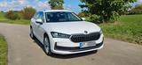 Skoda Superb 2.0 TDI DSG 4x4 AHK ACC Matrix Standheiz
