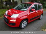 Fiat New Panda 0.9 TwinAir Aut. - 2.Hd./49 TKM - rote Fiat New Panda