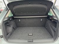 Skoda Kamiq - Vorschau Bild 13
