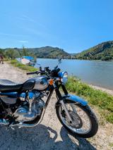 Kawasaki W 800 - Angebote