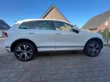 Volkswagen VW Touareg Executive Edition 3.0 - Volkswagen Touareg