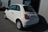 Fiat 500 Pop Star-HU + Service neu - Fiat 500: Star