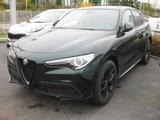 Alfa Romeo Stelvio Veloce 2.2 16V AWD + Allrad + Panorama - Alfa Romeo: Grün