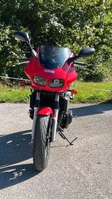 Yamaha FZS 600 Fazer  Tüv/ASU neu - YAMAHA FZ6 N