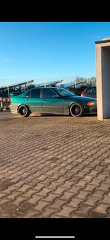BMW Bmw e36 323i ex316 tüv neu - BMW 316 aus 1991