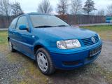 Volkswagen Polo 6N2, Schiebedach, Vier-Zylinder-Motor - Volkswagen Polo: Moto