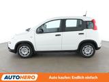 Fiat Panda 1.0 Mild-Hybrid Pandina Cross*SPUR*PDC* - Fiat Panda Gebrauchtwagen in Stuttgart