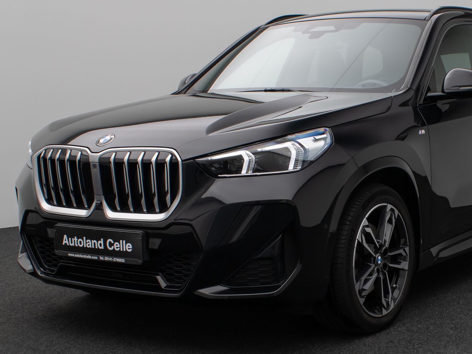 Fahrzeugabbildung BMW X1 xD23i M Sport Panoram 360°HUD DAB H/K ACC 19"