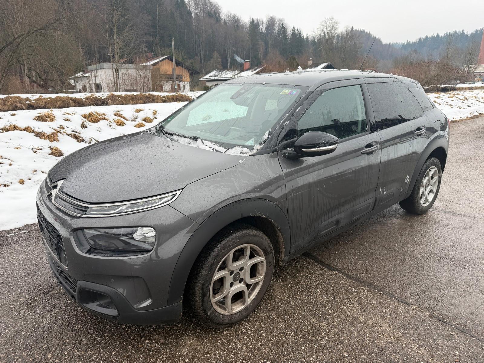 Citroën C4 Cactus Shine, NAVI, KAMERA!!!!
