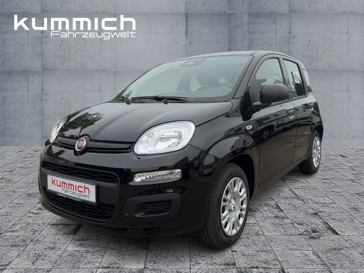 Fiat Panda MY25 Pandina ICON Hybrid 1.0 GSE 51kw 70PS