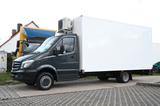 Mercedes-Benz Sprinter 516CDI WOMO,STANDKLIMA,EURO5,AHK - Angebote entsprechen deinen Suchkriterien