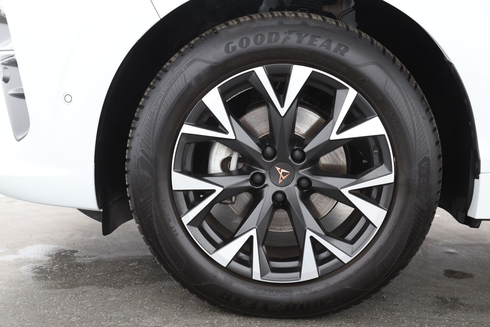 Cupra Terramar - Bild 10