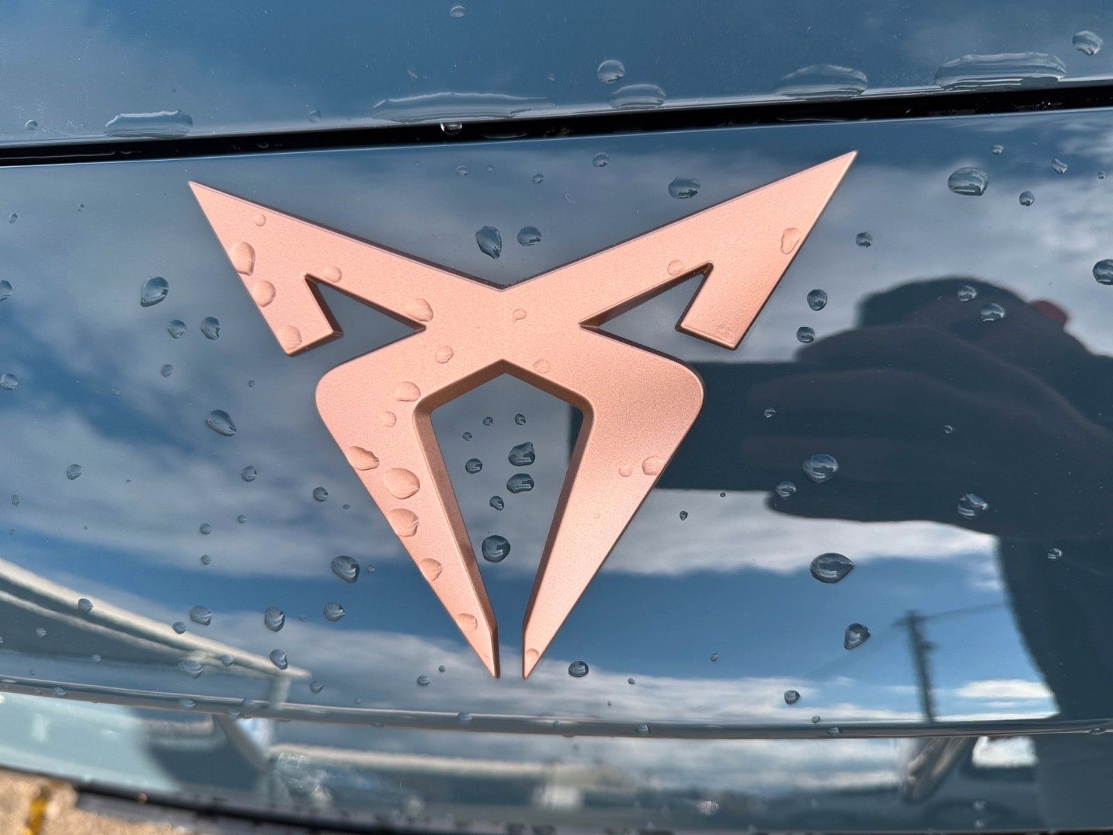 Fahrzeugabbildung CUPRA Formentor 1.5 eTSI 110 kW