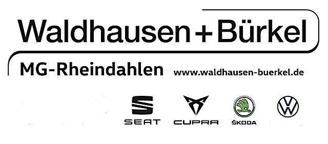 Seat Ibiza - Bild 17